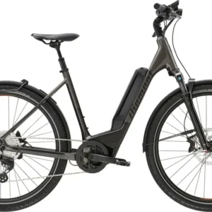 Vélo électrique DIAMANT 138 Wave 545Wh