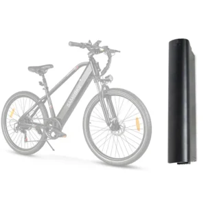 Batterie Samebike RS-A01Men