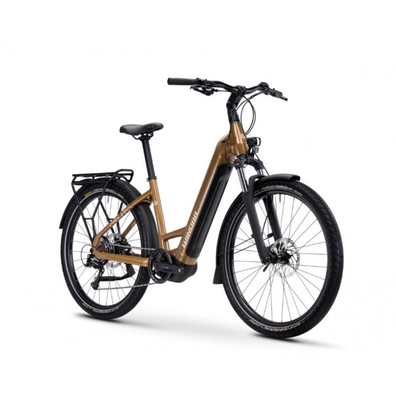 Velo-electrique-Winora-Yucatan-X8-1.jpg