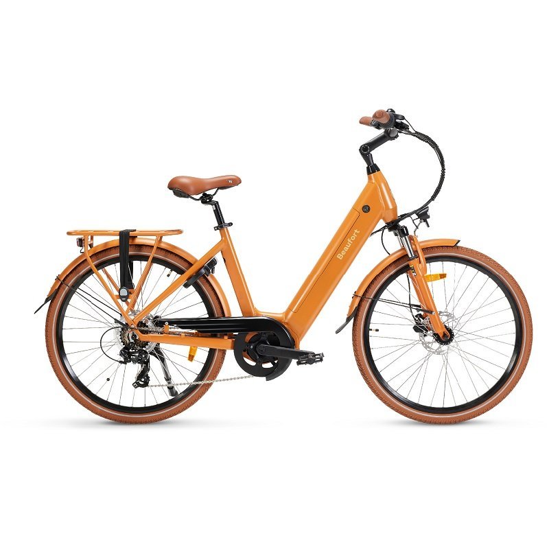 Velo-ville-electrique-Beaufort-betty.jpg